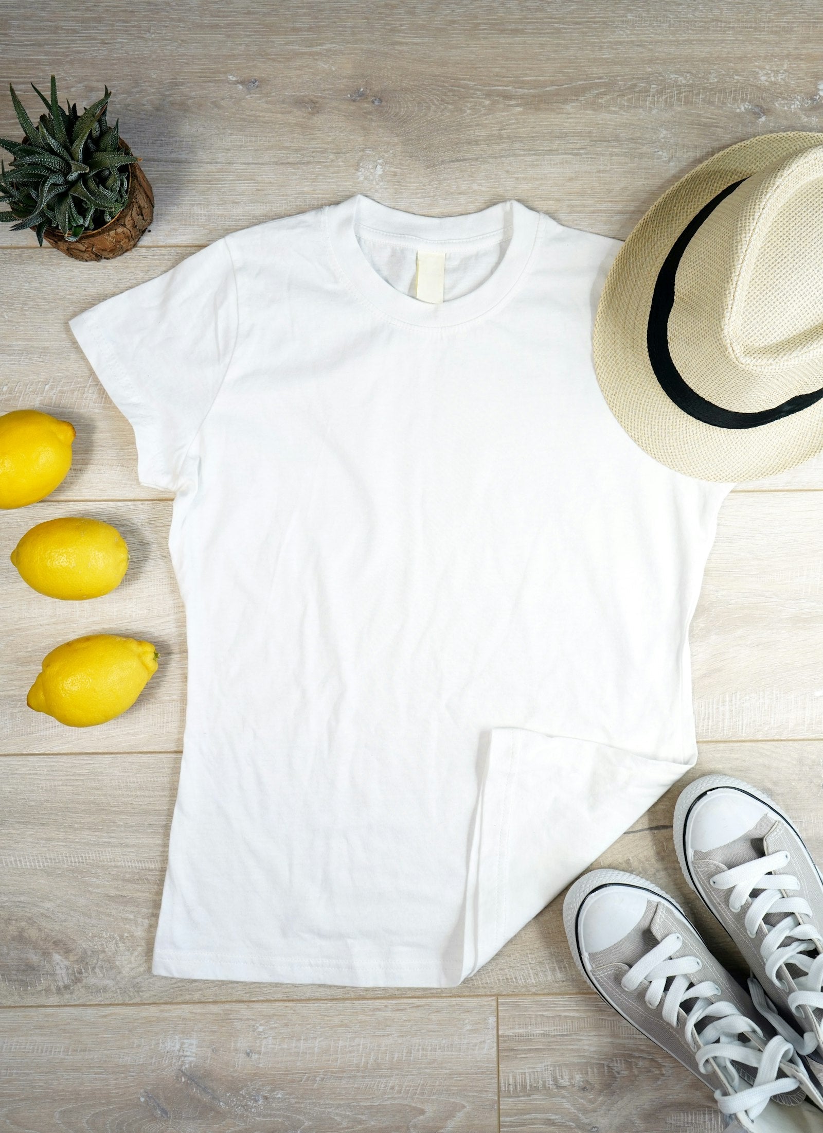Men's White Slim Fit T-Shirt